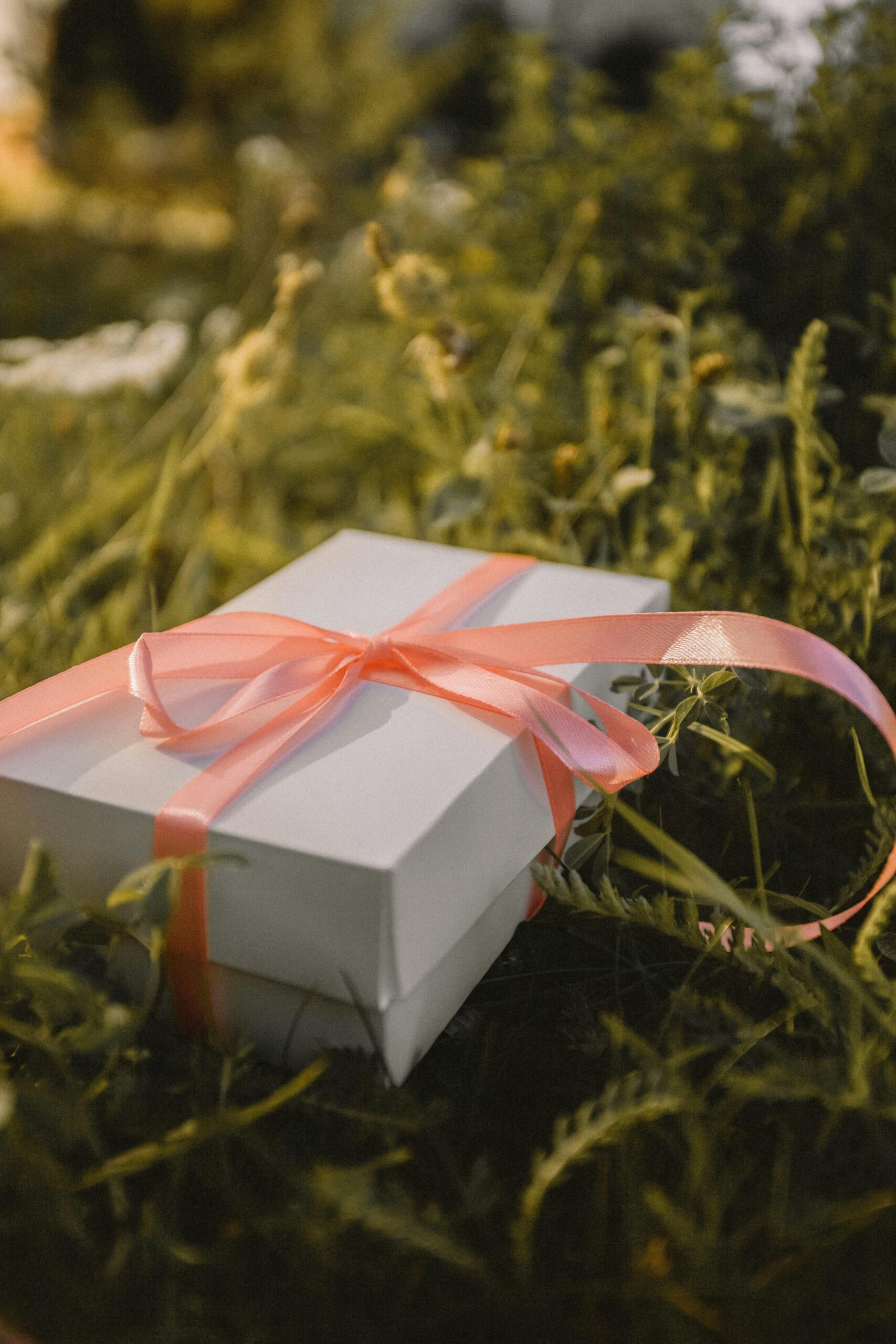 White gift box with a pink ribbon placed in a sunny, grassy meadow, perfect for springtime themes.