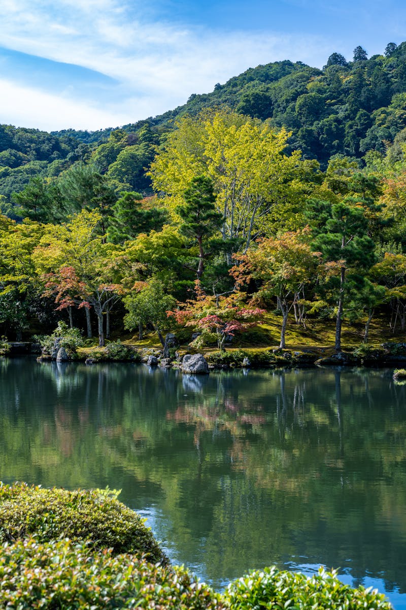 Serene autumn landscape of a pond and colorful trees in Kyoto, Japan.